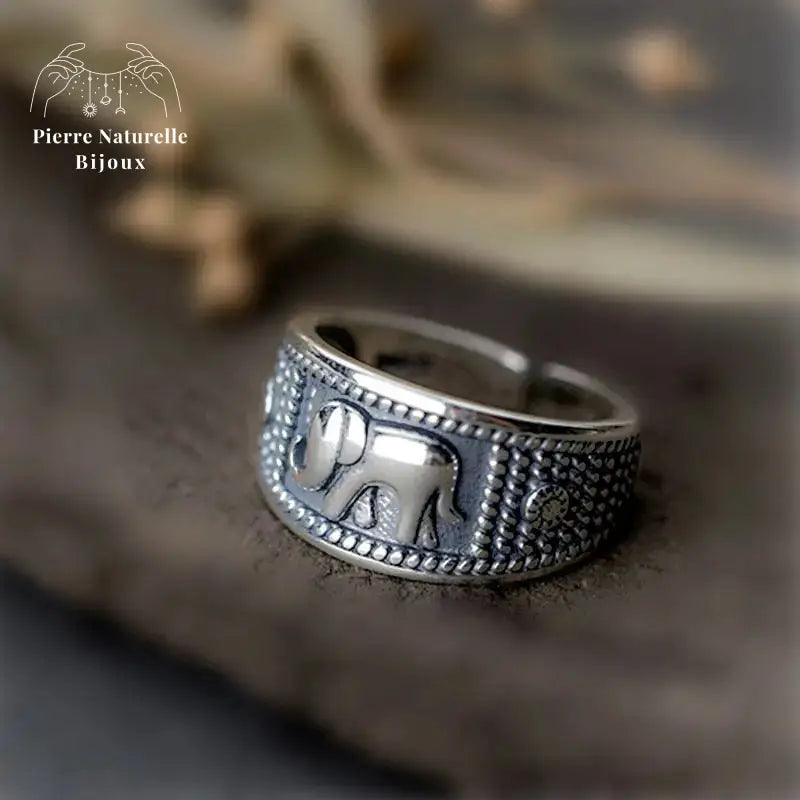 Bague "Ténacité" en Argent | Bagues | pierre naturelle bijoux