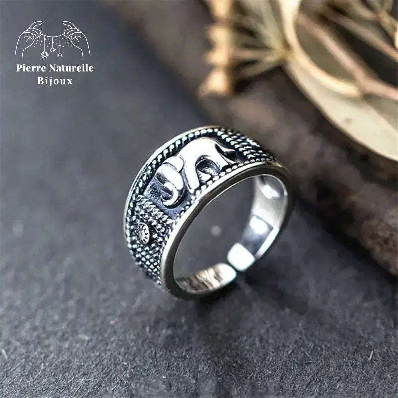 Bague "Ténacité" en Argent | Bagues | pierre naturelle bijoux