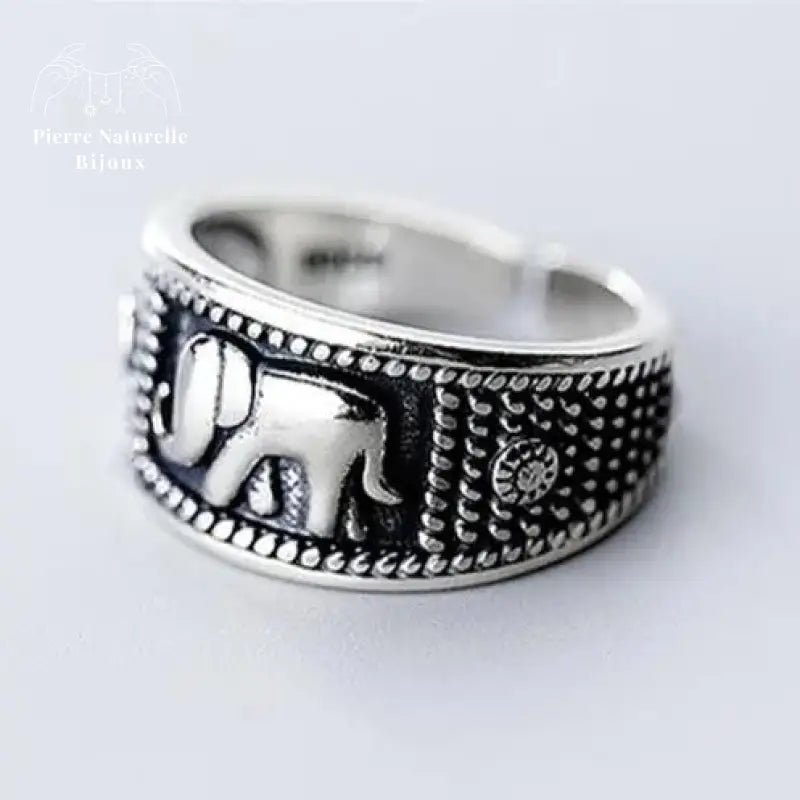 Bague "Ténacité" en Argent | Bagues | pierre naturelle bijoux