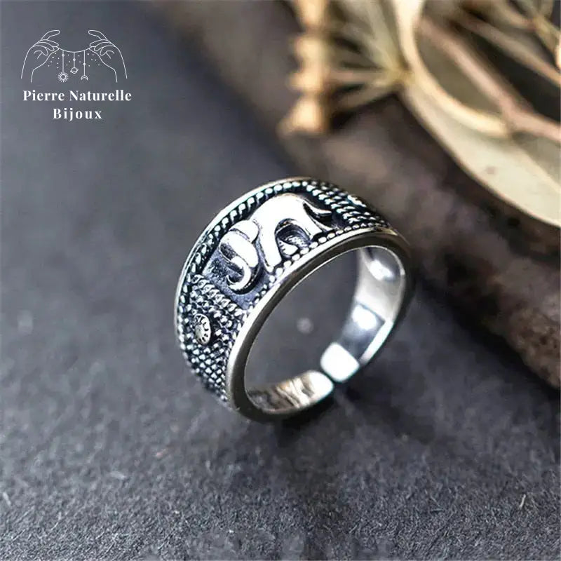 Bague "Ténacité" en Argent | Bagues | pierre naturelle bijoux