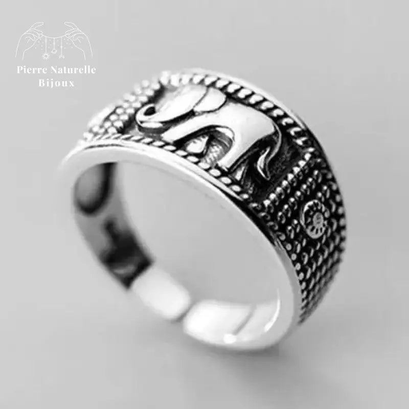 Bague "Ténacité" en Argent | Bagues | pierre naturelle bijoux