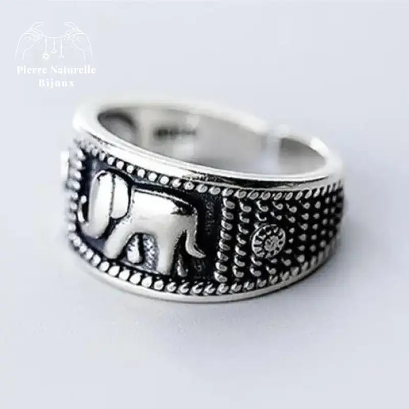 Bague "Ténacité" en Argent | Bagues | pierre naturelle bijoux