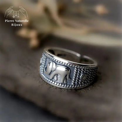 Bague "Ténacité" en Argent | Bagues | pierre naturelle bijoux
