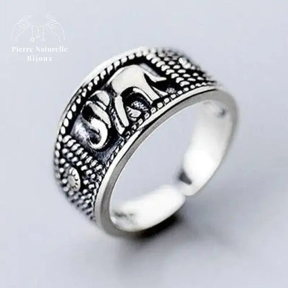 Bague "Ténacité" en Argent | Bagues | pierre naturelle bijoux