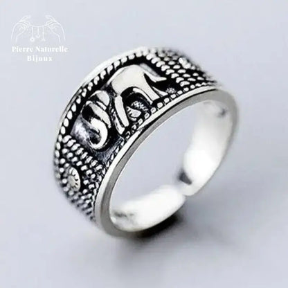 Bague "Ténacité" en Argent | Bagues | pierre naturelle bijoux