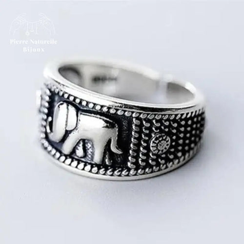 Bague "Ténacité" en Argent | Bagues | pierre naturelle bijoux